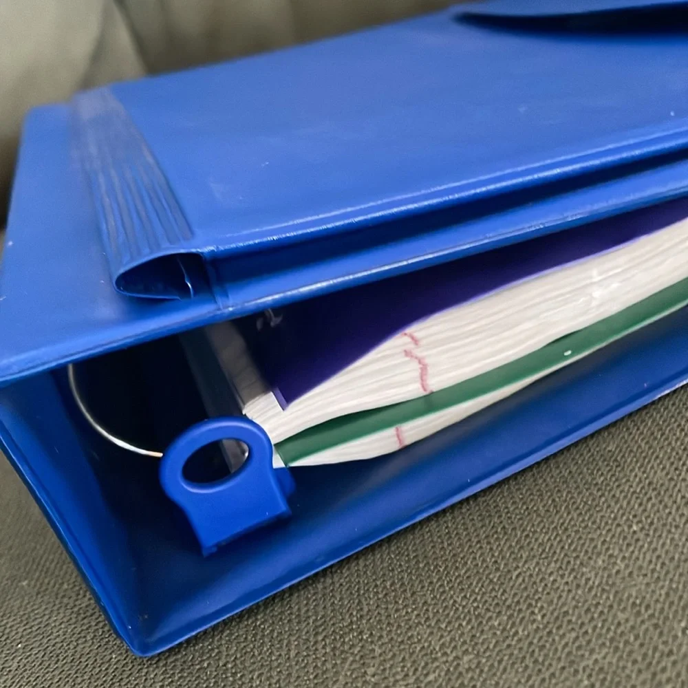Blue and Purple File Organizer